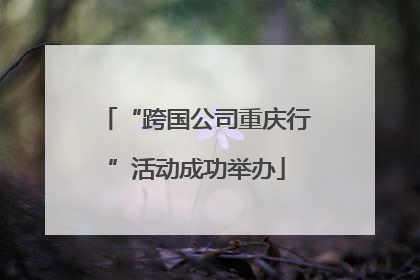 “跨国公司重庆行”活动成功举办