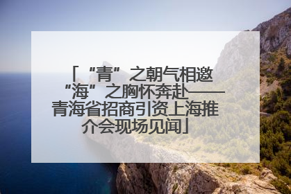 “青”之朝气相邀 “海”之胸怀奔赴——青海省招商引资上海推介会现场见闻