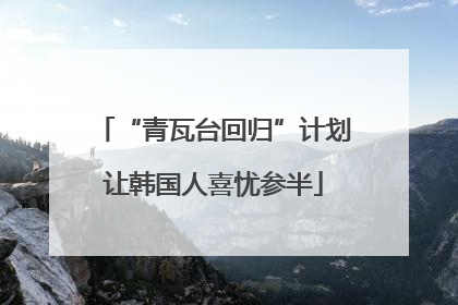 “青瓦台回归”计划让韩国人喜忧参半