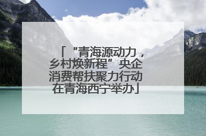 “青海源动力，乡村焕新程”央企消费帮扶聚力行动在青海西宁举办