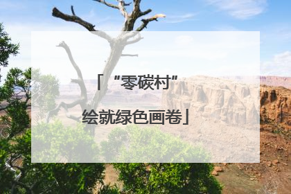 “零碳村” 绘就绿色画卷