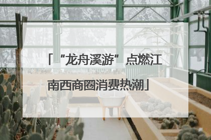 “龙舟溪游”点燃江南西商圈消费热潮