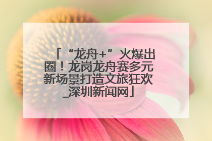 “龙舟+”火爆出圈！龙岗龙舟赛多元新场景打造文旅狂欢_深圳新闻网