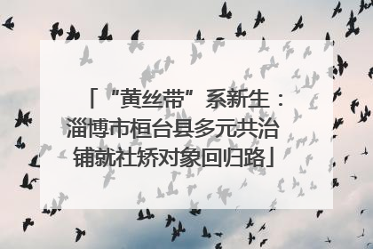“黄丝带”系新生：淄博市桓台县多元共治铺就社矫对象回归路