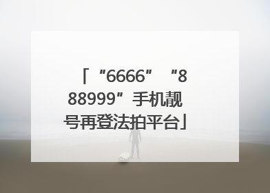 “6666”“888999”手机靓号再登法拍平台
