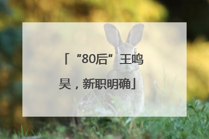 “80后”王鸣昊，新职明确