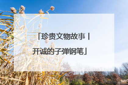 珍贵文物故事丨开诚的子弹钢笔