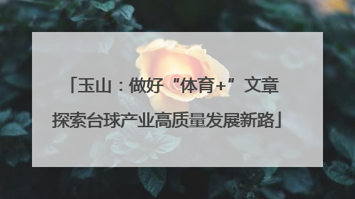玉山：做好“体育+”文章 探索台球产业高质量发展新路