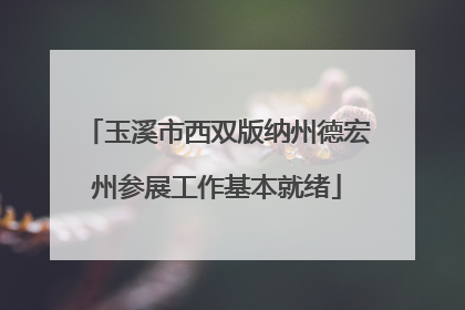 玉溪市西双版纳州德宏州参展工作基本就绪