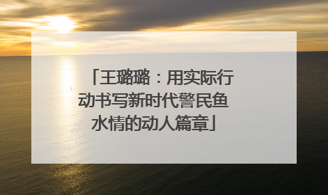 王璐璐：用实际行动书写新时代警民鱼水情的动人篇章