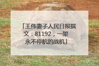 王伟妻子人民日报撰文：81192，一架永不停航的战机