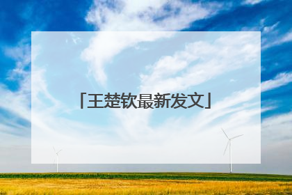 王楚钦最新发文