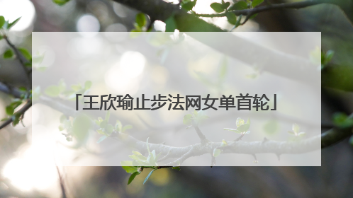 王欣瑜止步法网女单首轮