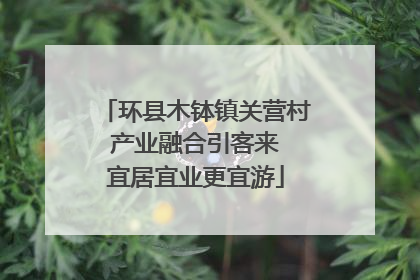环县木钵镇关营村 产业融合引客来 宜居宜业更宜游