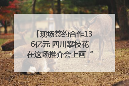 现场签约合作136亿元 四川攀枝花在这场推介会上画“图谱”列“清单”