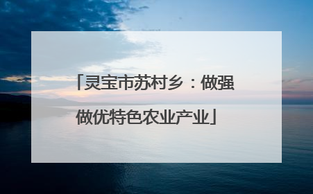 灵宝市苏村乡：做强做优特色农业产业