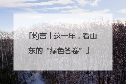 灼言丨这一年，看山东的“绿色答卷”