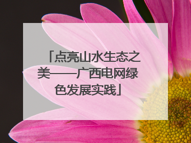 点亮山水生态之美——广西电网绿色发展实践