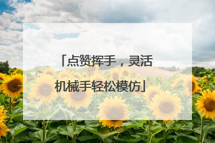 点赞挥手，灵活机械手轻松模仿