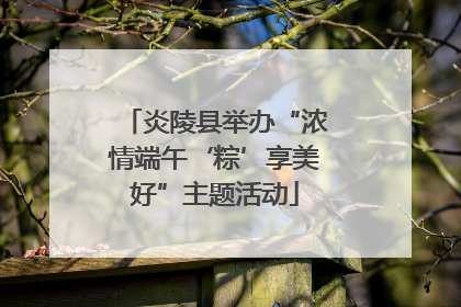 炎陵县举办“浓情端午‘粽’享美好”主题活动
