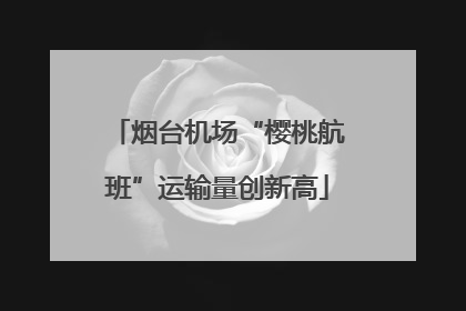 烟台机场“樱桃航班”运输量创新高