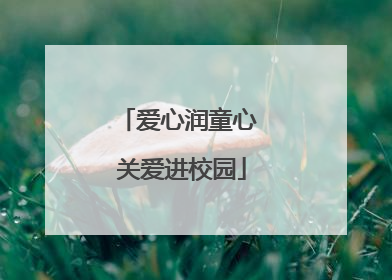 爱心润童心 关爱进校园