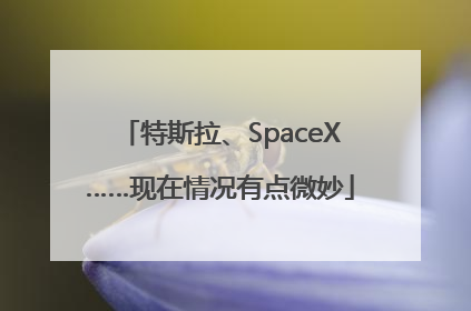 特斯拉、SpaceX……现在情况有点微妙