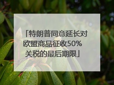特朗普同意延长对欧盟商品征收50%关税的最后期限