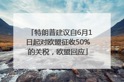 特朗普建议自6月1日起对欧盟征收50%的关税，欧盟回应