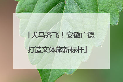 犬马齐飞！安徽广德打造文体旅新标杆