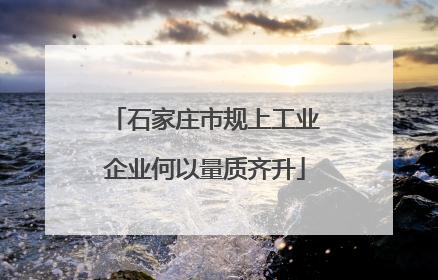 石家庄市规上工业企业何以量质齐升