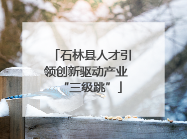 石林县人才引领创新驱动产业“三级跳”
