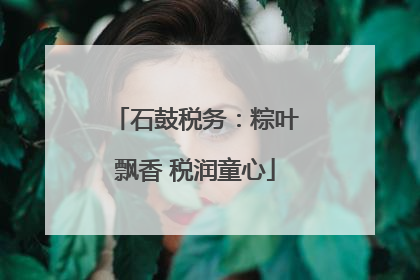 石鼓税务：粽叶飘香 税润童心