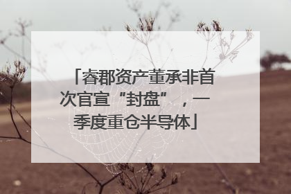 睿郡资产董承非首次官宣“封盘”，一季度重仓半导体