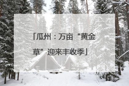 瓜州：万亩“黄金草”迎来丰收季