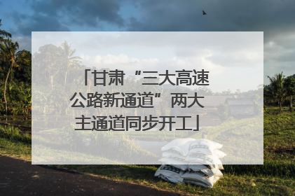 甘肃“三大高速公路新通道”两大主通道同步开工