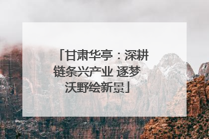 甘肃华亭：深耕链条兴产业 逐梦沃野绘新景