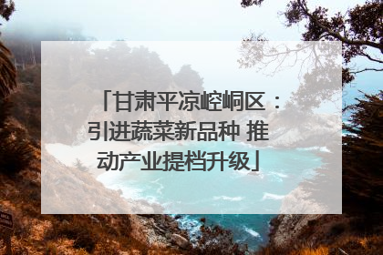 甘肃平凉崆峒区：引进蔬菜新品种 推动产业提档升级