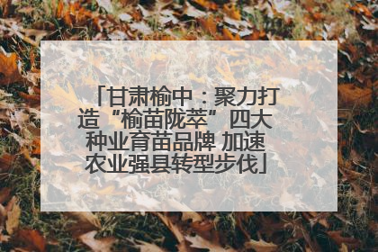 甘肃榆中：聚力打造“榆苗陇萃”四大种业育苗品牌 加速农业强县转型步伐
