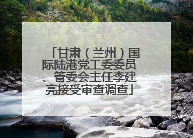 甘肃（兰州）国际陆港党工委委员、管委会主任李建亮接受审查调查
