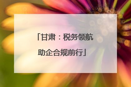 甘肃：税务领航 助企合规前行