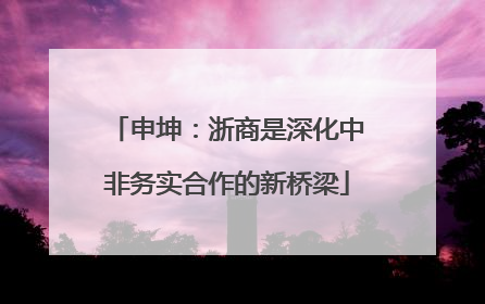 申坤：浙商是深化中非务实合作的新桥梁