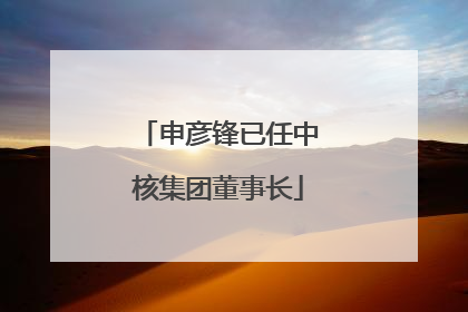 申彦锋已任中核集团董事长