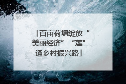 百亩荷塘绽放“美丽经济”“莲”通乡村振兴路