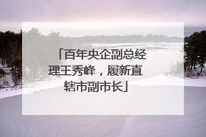 百年央企副总经理王秀峰，履新直辖市副市长