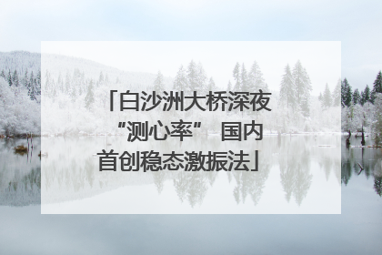 白沙洲大桥深夜“测心率” 国内首创稳态激振法