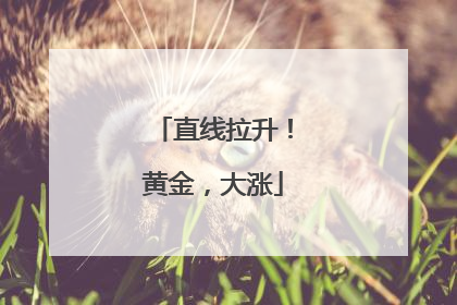 直线拉升！黄金，大涨