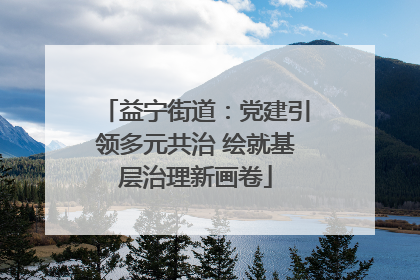益宁街道：党建引领多元共治 绘就基层治理新画卷