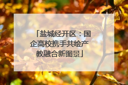 盐城经开区：国企高校携手共绘产教融合新图景
