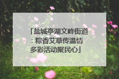 盐城亭湖文峰街道：粽香艾草传温情 多彩活动聚民心